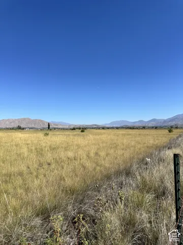 Expansive open field with natural grasses, distant mountains, and clear sky