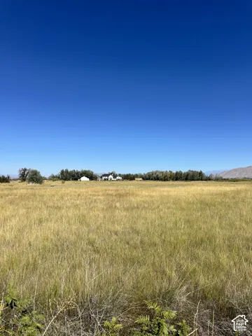 Expansive open field with natural grasses and distant residential structures