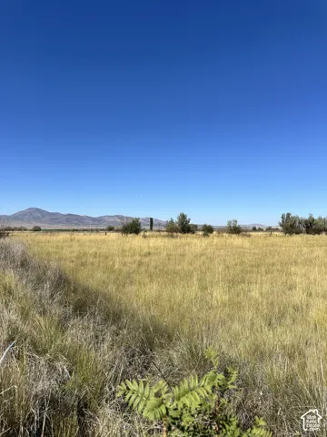 Expansive open land with natural grasses, distant mountains, and scattered trees under a clear sky