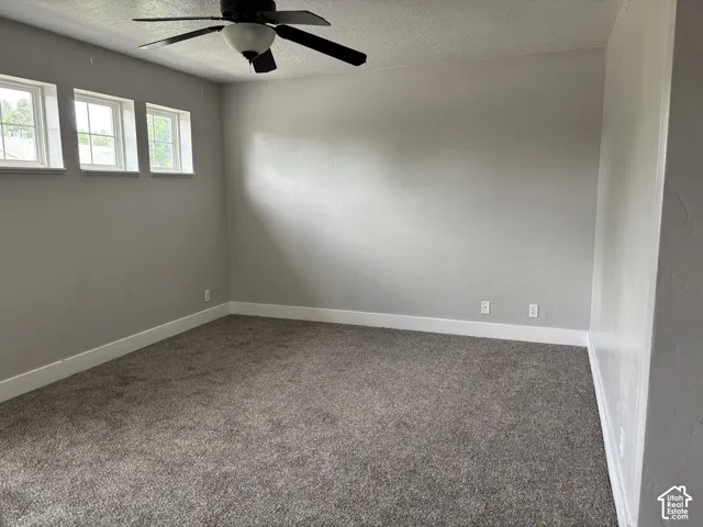 Three transom windows, ceiling fan with integrated lighting, neutral wall finishes, and wall-to-wall carpeting