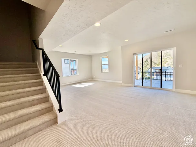 Basement Rec Room