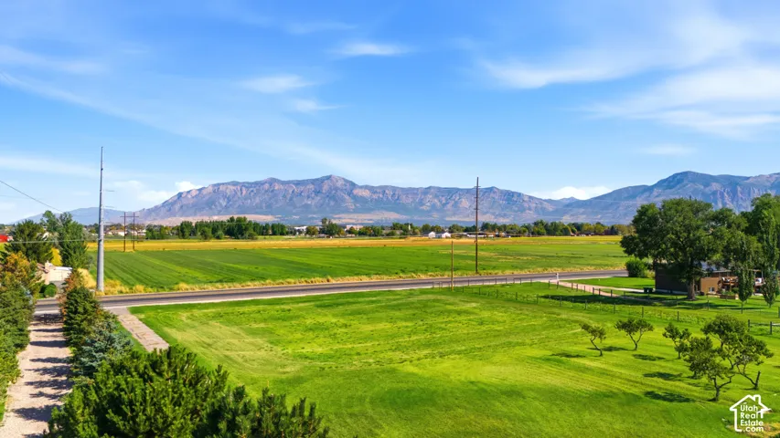 Expansive green fields with a mountainous backdrop