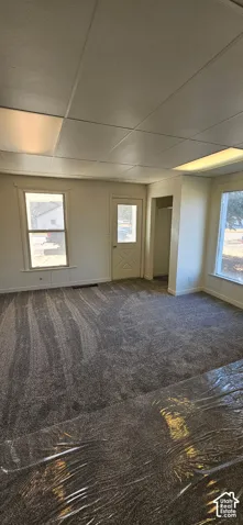 Freshly installed gray carpeting, multiple windows providing natural illumination, and a prominent entry door