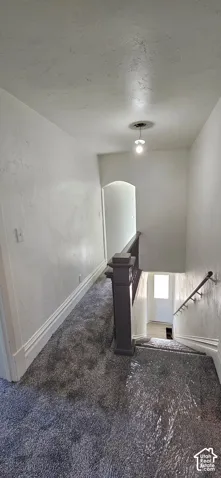 Carpeted staircase with painted handrail and decorative baseboards