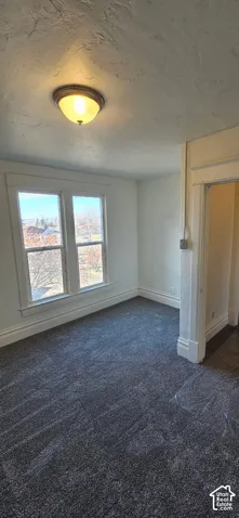 Textured ceiling, flush mount lighting, dual pane windows, dark gray carpet, and white trim