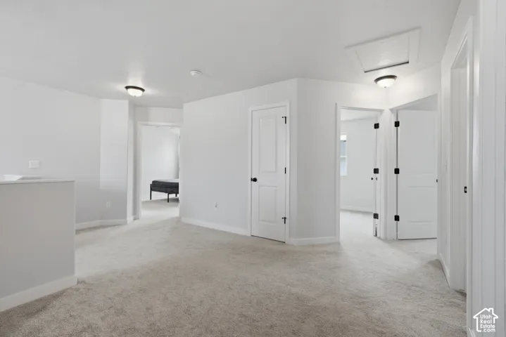 Neutral-toned carpeting, white walls, and multiple panel doors with dark hardware