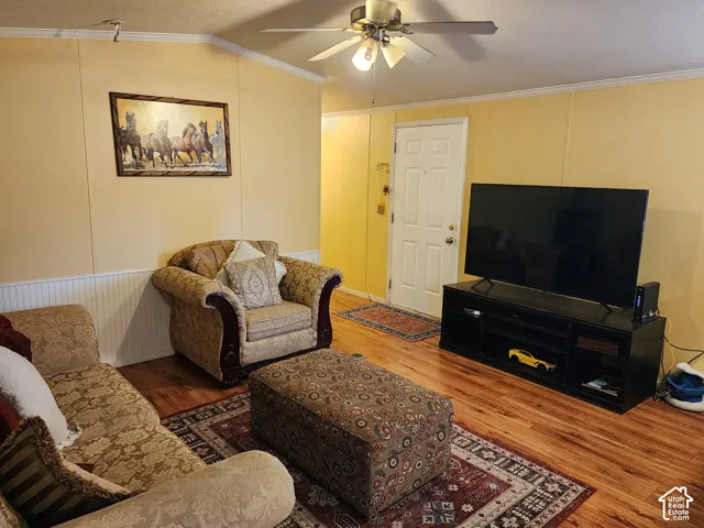 Wood-finish flooring with white wainscoting and crown molding