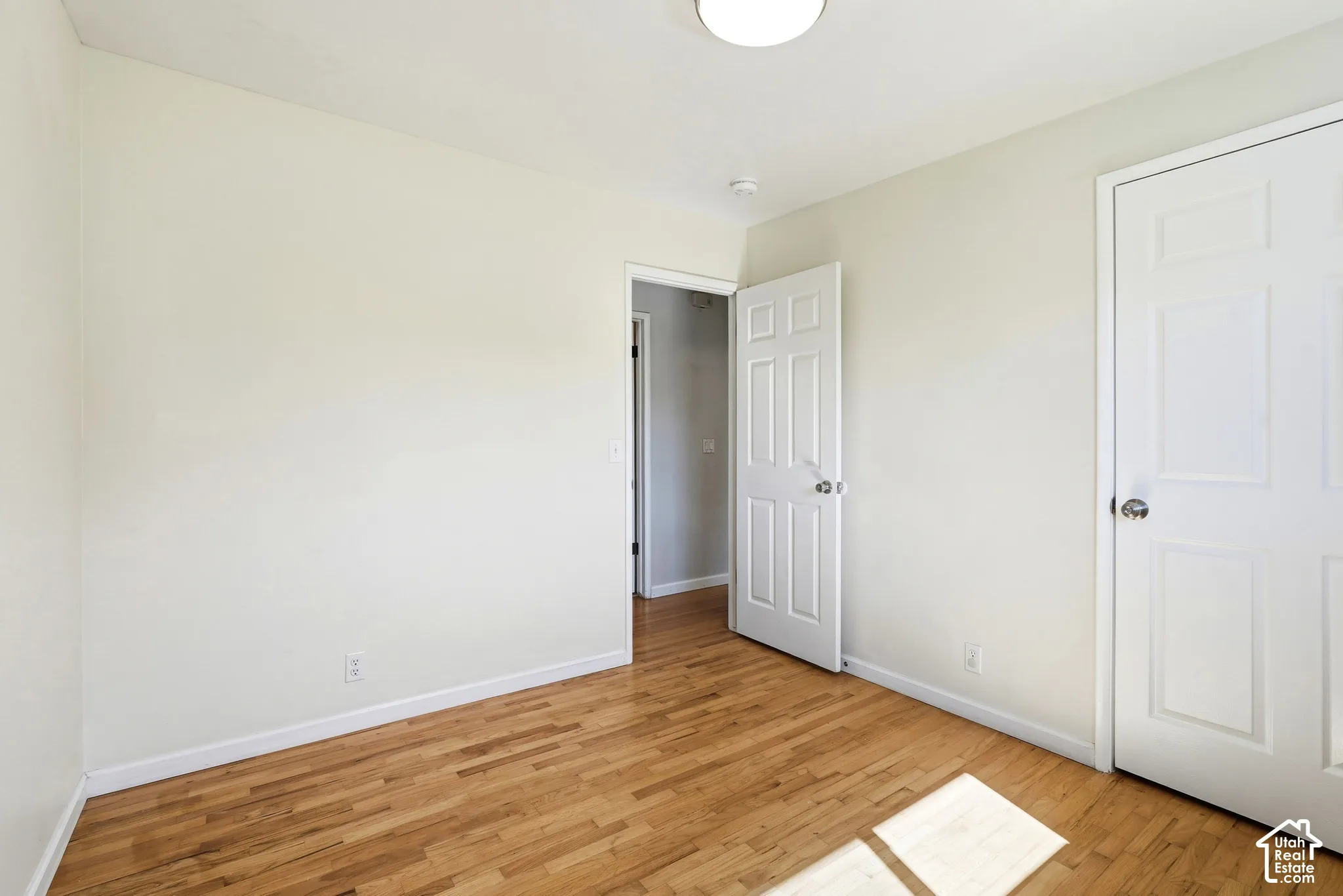 Hardwood flooring, painted walls, white trim, and a flush mount light fixture