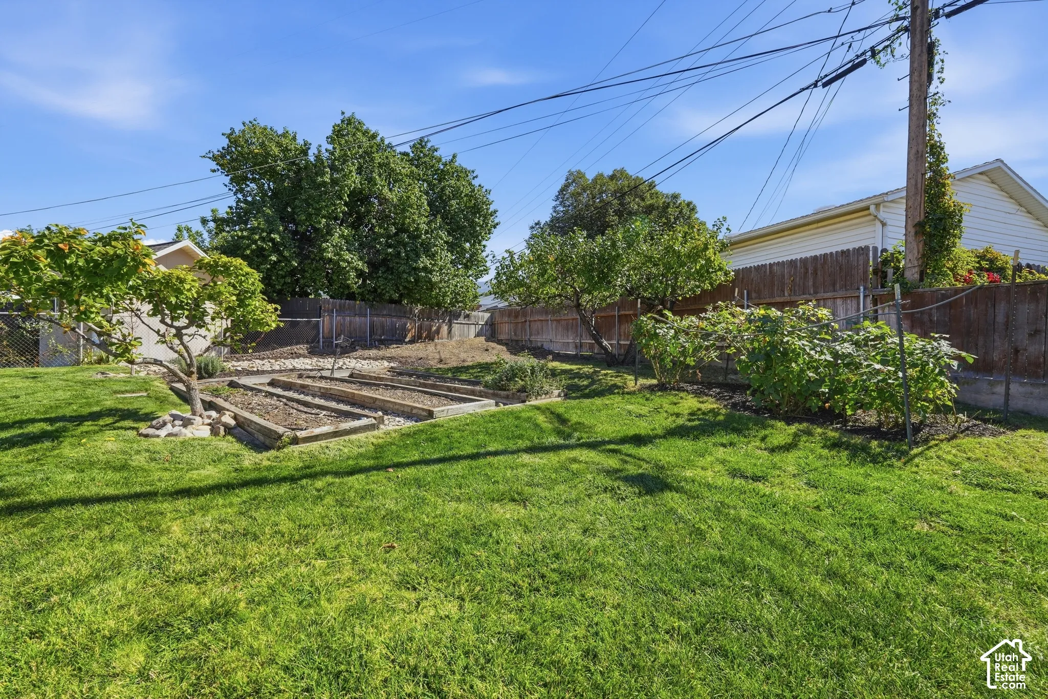 Expansive lawn with raised garden beds and mature trees