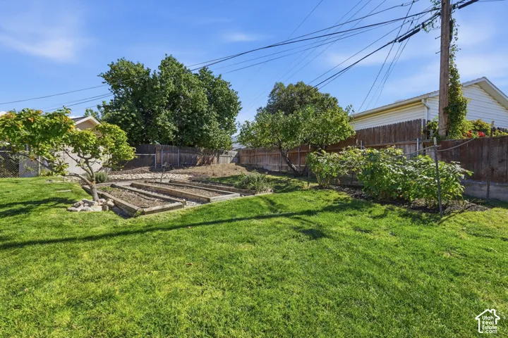 Expansive lawn with raised garden beds and mature trees