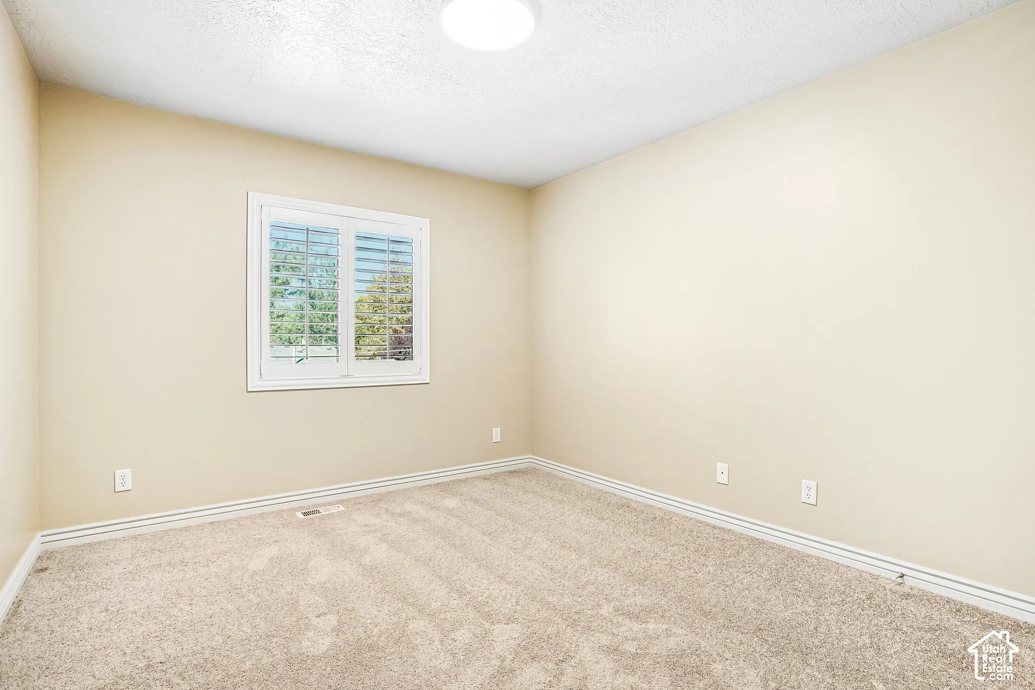Neutral-toned walls complement the textured carpeting