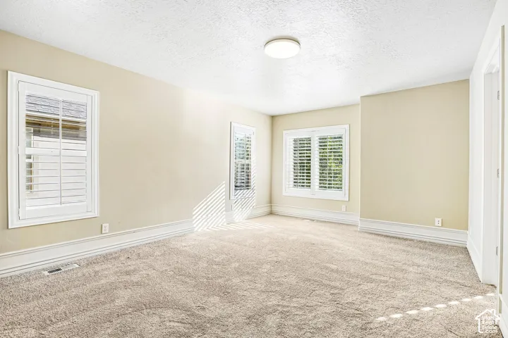 Textured carpeting, multiple windows with plantation shutters, recessed baseboard trim, and a flush mount ceiling light fixture