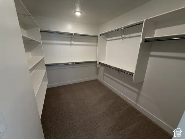 Built-in shelving, white cabinetry, chrome hanging rods, recessed ceiling light, and carpeted flooring