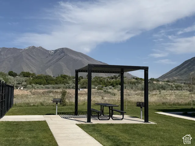Pergola-covered patio area featuring a picnic table, integrated grill, and paved walkways, surrounded by a manicured lawn