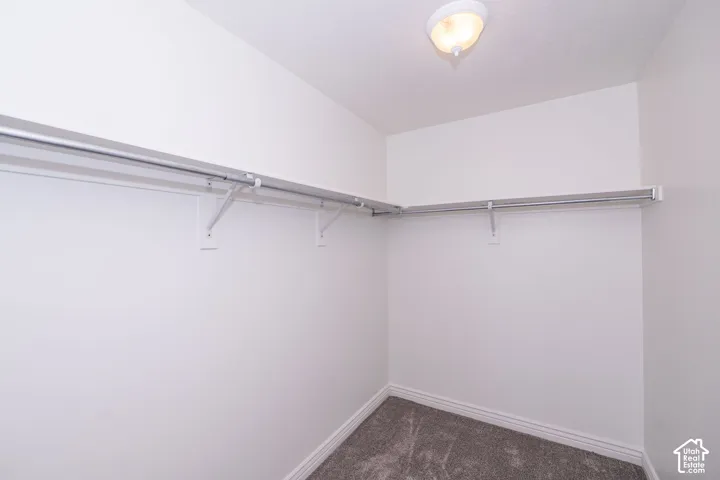 Closet featuring white walls, gray carpet, and a ceiling-mounted light fixture