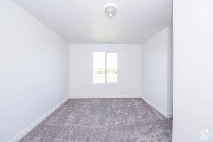 Neutral wall color, wall-to-wall carpeting, single window, and flush-mount ceiling light fixture