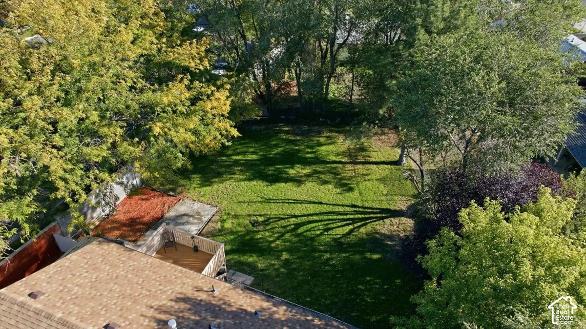 Expansive grass lawn bordered by mature trees and shrubs, with an outdoor wood deck