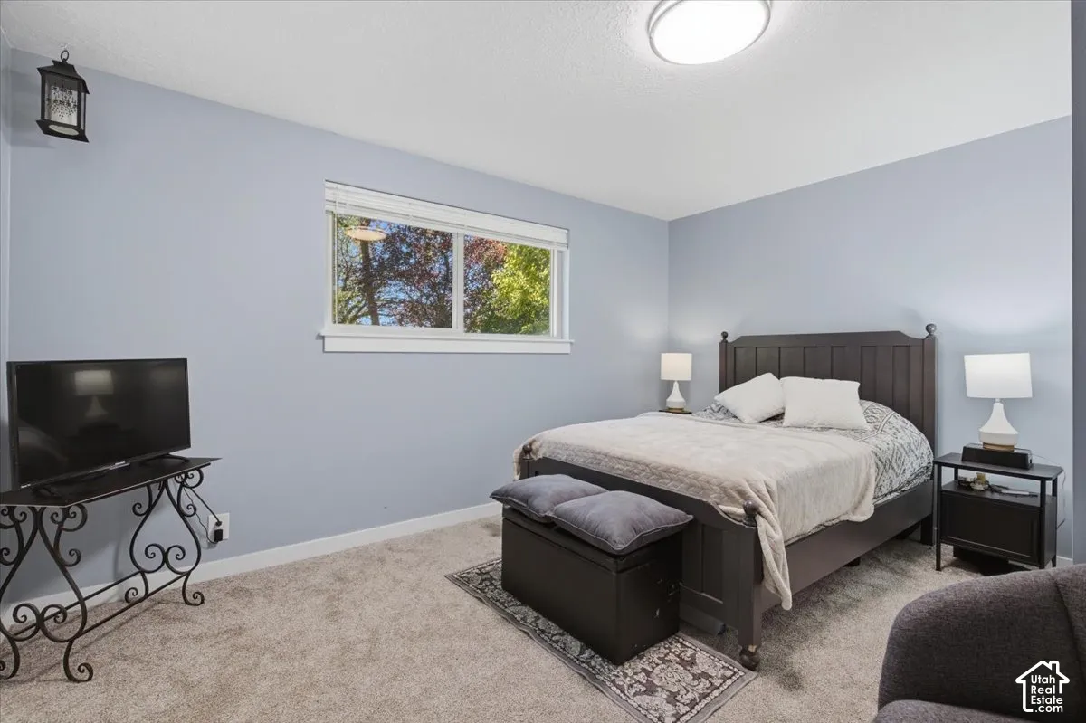 Plush carpet flooring, light blue wall paint, a rectangular window with white trim, and a ceiling-mounted light fixture