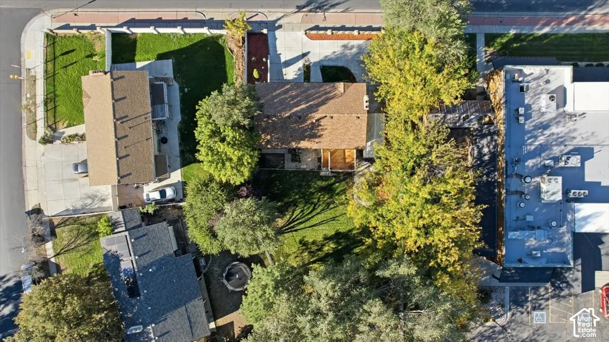 Paved driveway, mature trees, green lawn, neighboring commercial building, and residential structure