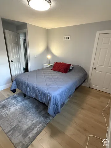 Wood-finish flooring, white paneled doors, ceiling-mounted light fixture, and light-colored walls
