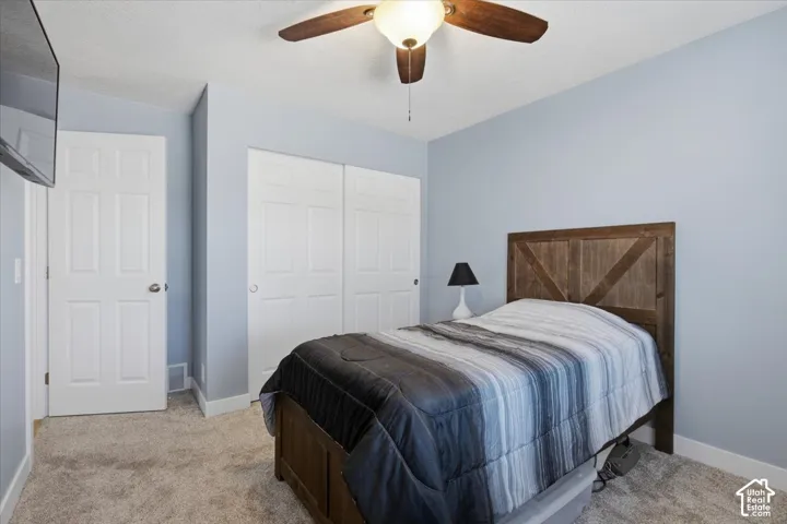 Plush carpeted flooring, a ceiling fan with integrated lighting, and white bi-fold closet doors