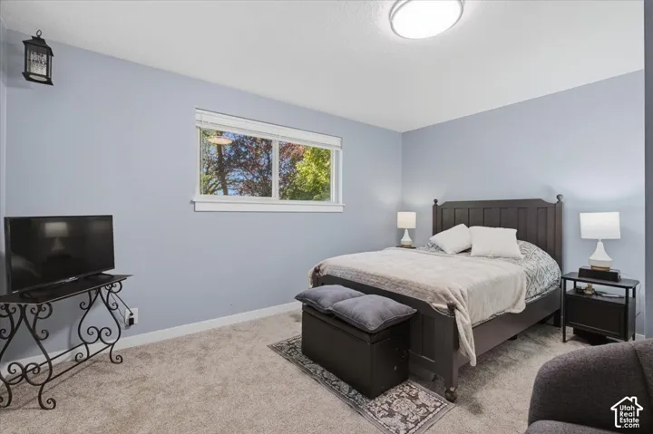 Plush carpet flooring, light blue wall paint, a rectangular window with white trim, and a ceiling-mounted light fixture