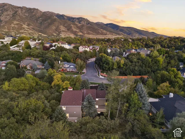 Mountain backdrop, residential area, mature trees, paved streets, and varied rooflines
