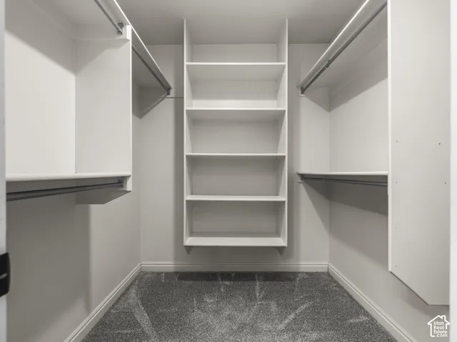 Built-in shelving, hanging rods, light gray wall paint, and gray carpeting