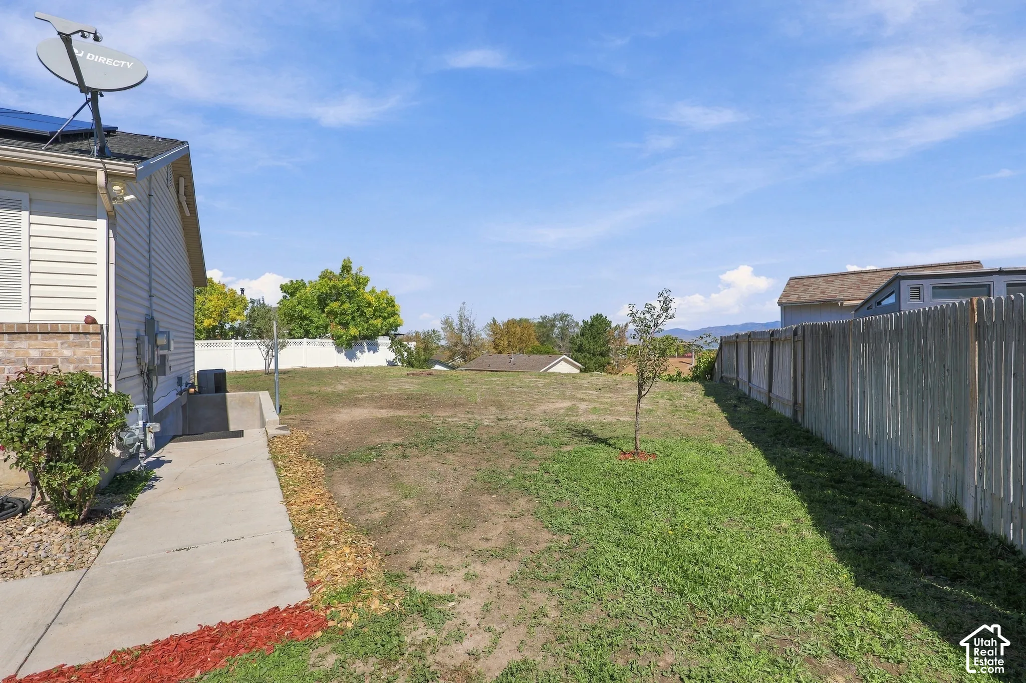Expansive backyard with a young tree and perimeter fencing