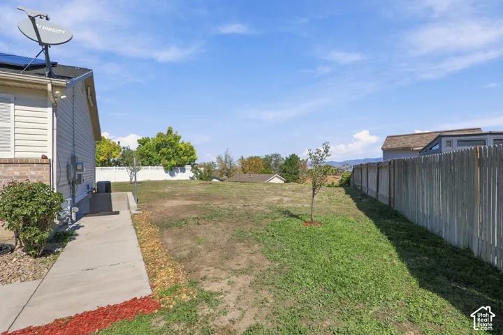 Expansive backyard with a young tree and perimeter fencing