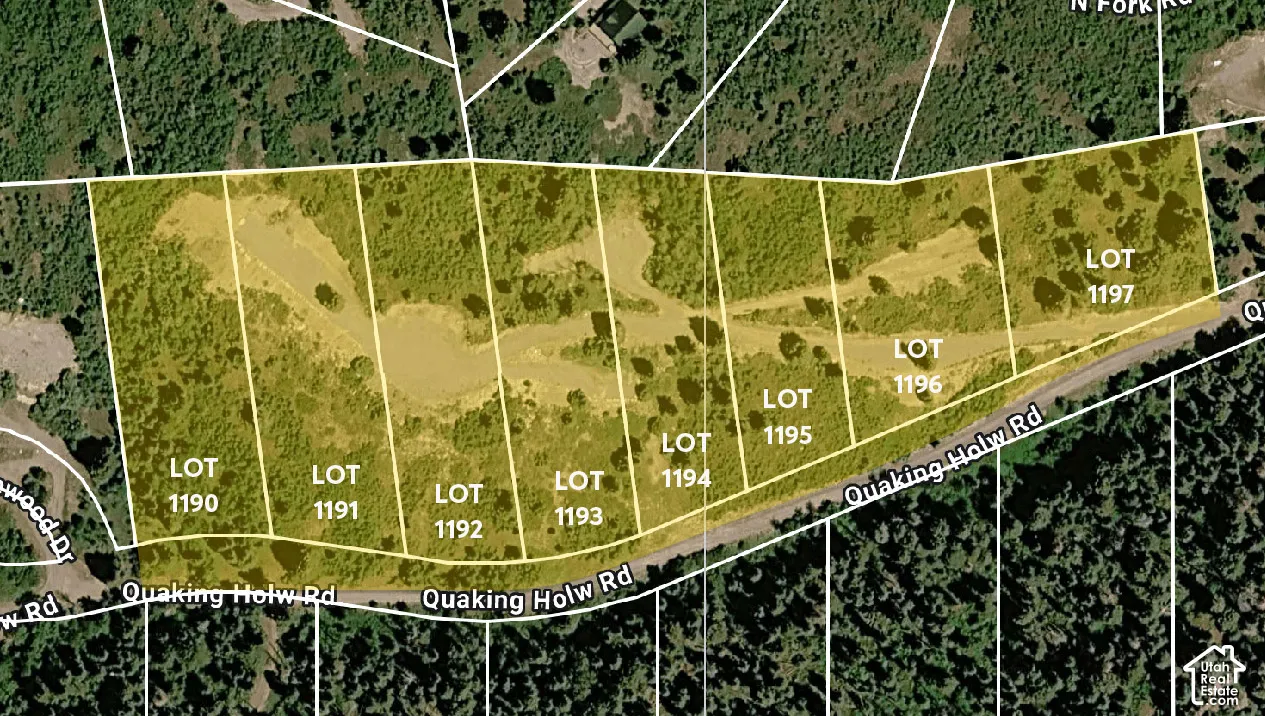 Lot 1190 and Lot 1194 each have small natural springs on it. No specific water rights are in place.
