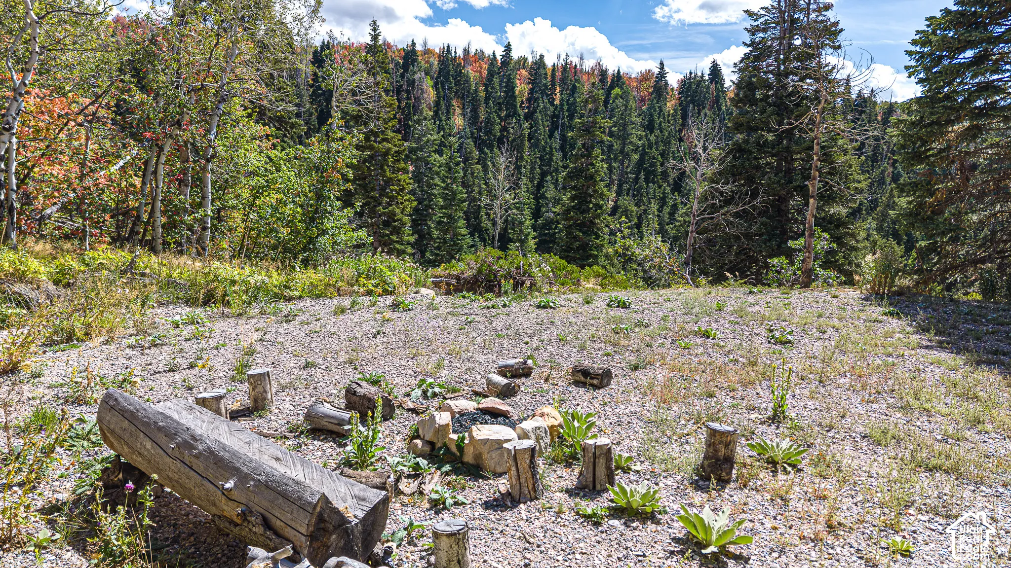 Natural setting with a gravel ground cover and surrounding mature trees
