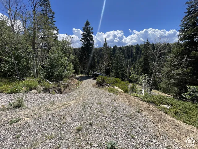 1197 E Quaking Hollow Rd, Mt Pleasant, Utah 84647