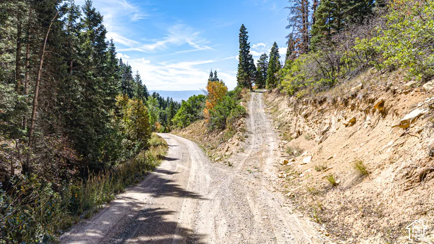1197 E Quaking Hollow Rd, Mt Pleasant, Utah 84647