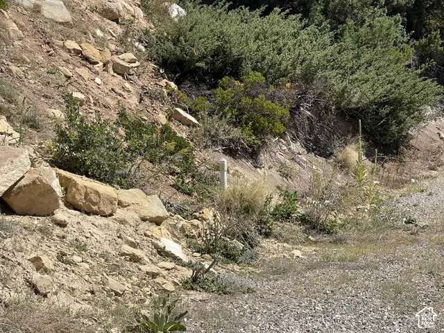This lot 1193 has a septic tank installed. The white pipe indicates the location.