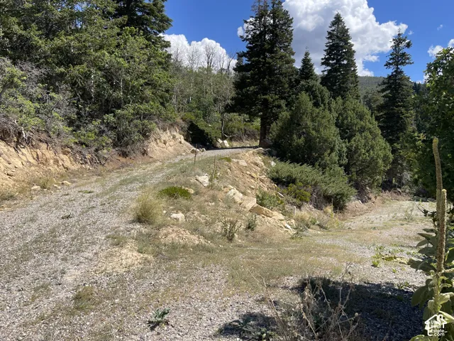 1197 E Quaking Hollow Rd, Mt Pleasant, Utah 84647