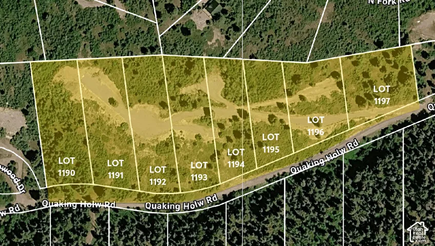 Lot 1190 and Lot 1194 each have small natural springs on it. No specific water rights are in place.