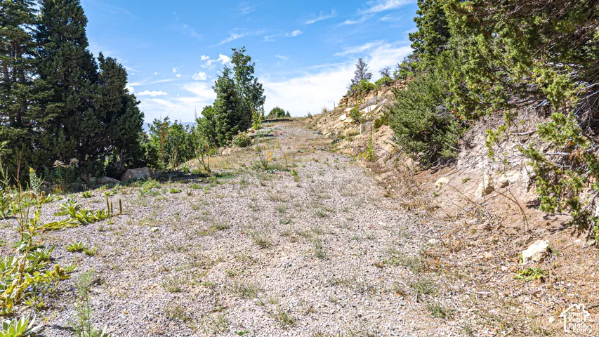 This lot 1193 has a septic tank installed.