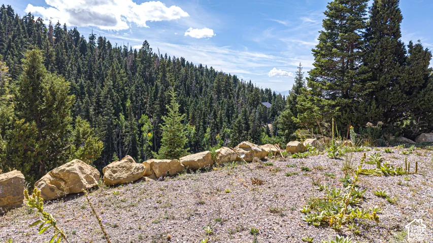 1197 E Quaking Hollow Rd, Mt Pleasant, Utah 84647