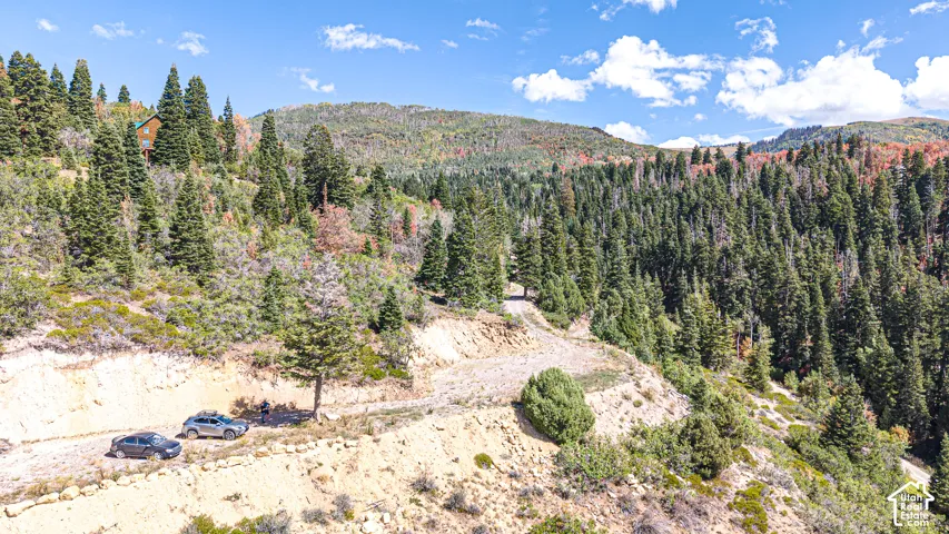 1197 E Quaking Hollow Rd, Mt Pleasant, Utah 84647