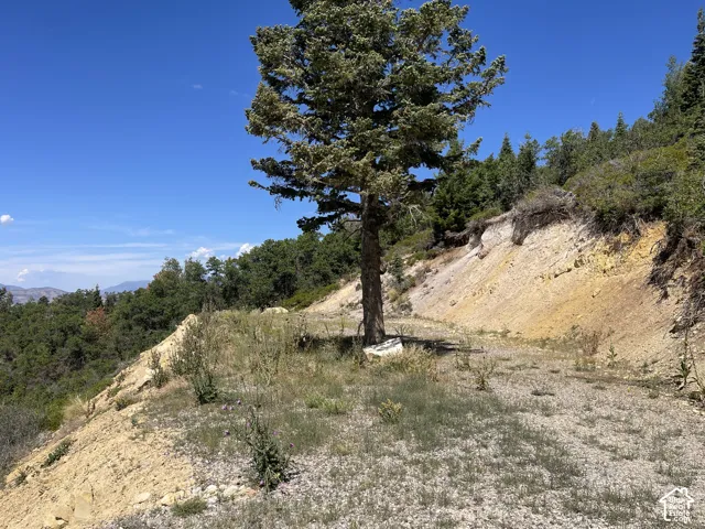 1197 E Quaking Hollow Rd, Mt Pleasant, Utah 84647