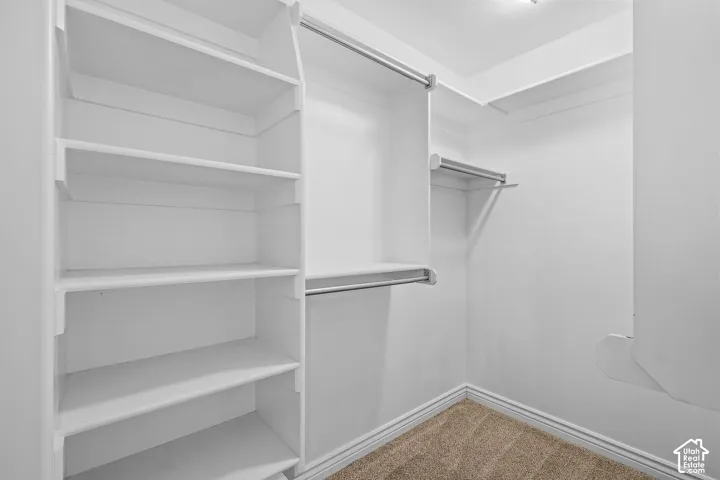 Built-in shelving, multiple hanging rods, wall-mounted shelving, and carpet flooring