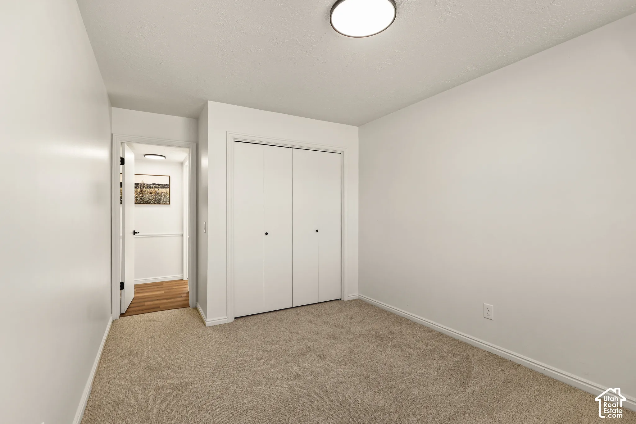 Wall-to-wall carpeting and neutral wall finishes
