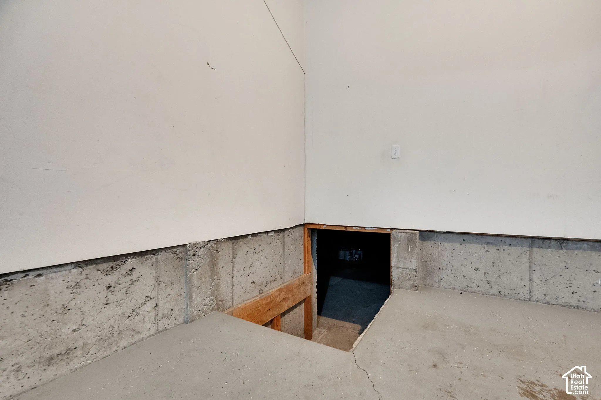 Storage Room under Living Room