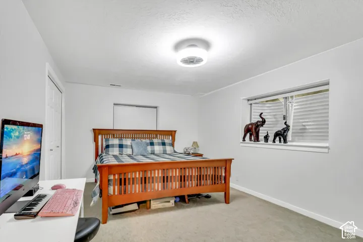 White walls with a ceiling-mounted light fixture, paired with carpeted flooring