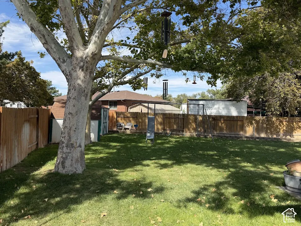 Expansive backyard featuring a mature tree and a fenced perimeter