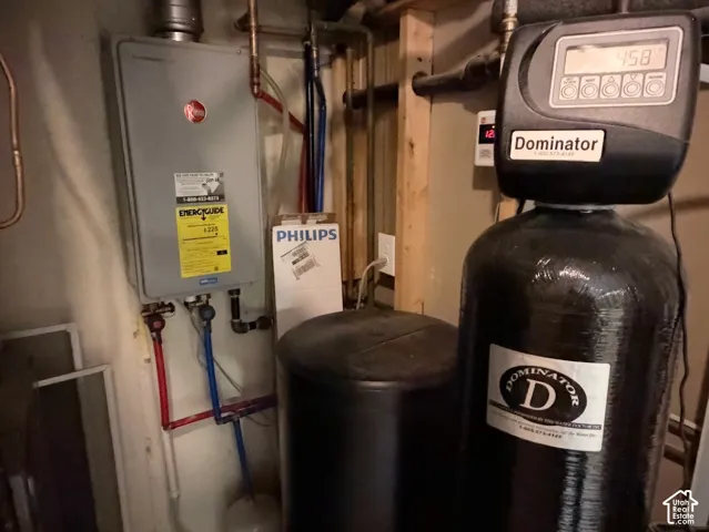 Tankless water heater and water treatment system