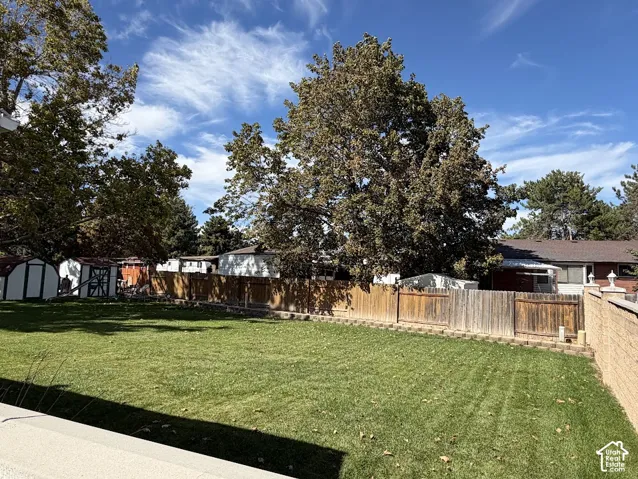 Expansive green lawn with mature trees and a wood privacy fence