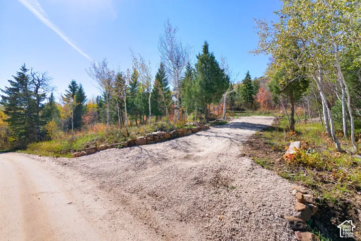Gravel driveway with natural stone retaining wall, surrounded by mature trees and natural vegetation