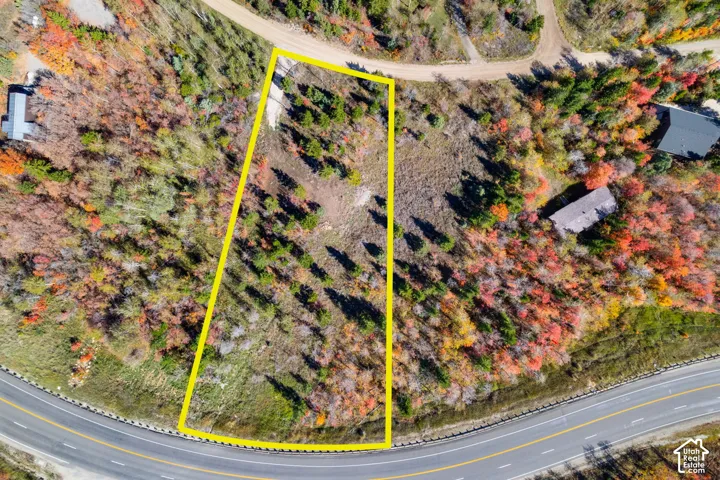 Expansive land parcel with direct road frontage